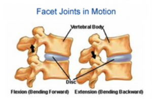 Spinal Movement
