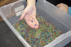 sensory Water beads