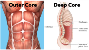 core muscles