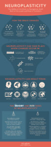 Neuroplasticity Infographic