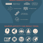 Neuroplasticity Infographic