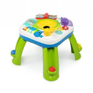 ACTIVITY TABLE