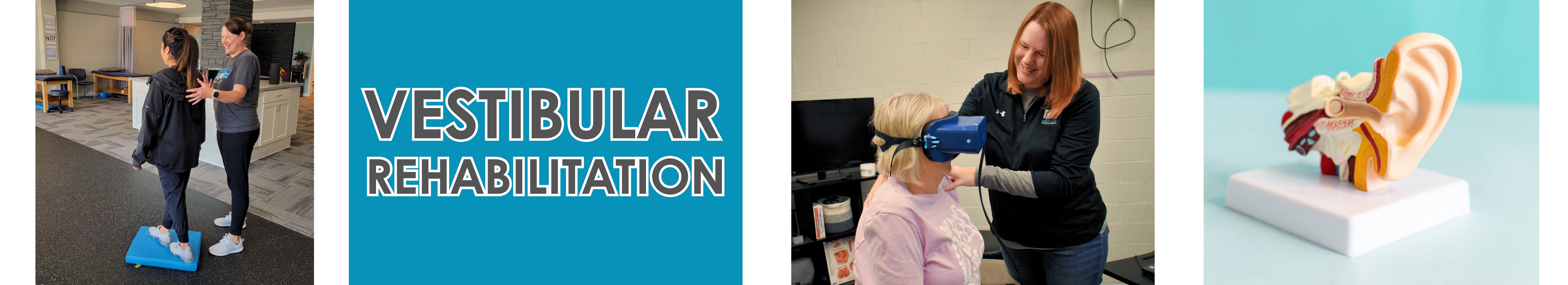 Vestibular Rehabilitation